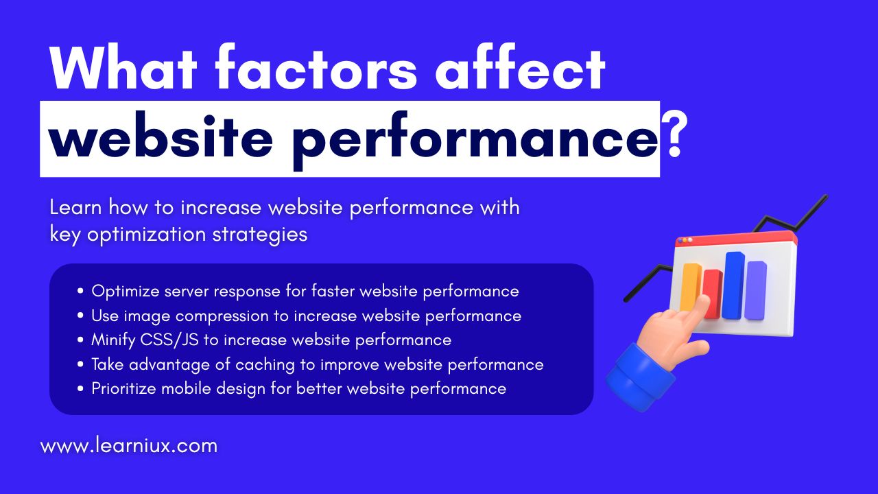 What factors affect website performance?